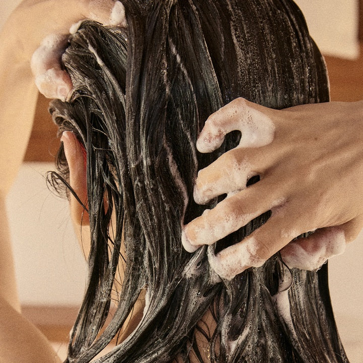 Hesul Korean Soybean Shampoo