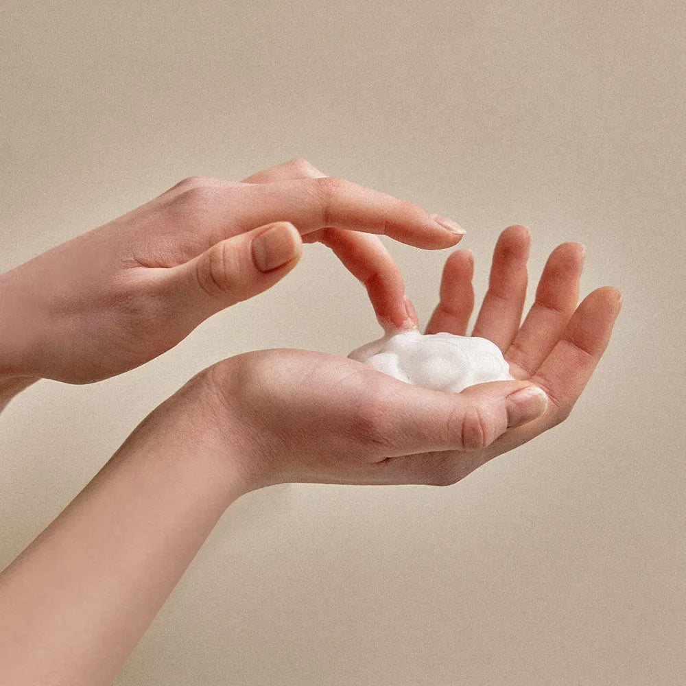 Hetras Perfume Bubble Hand Wash