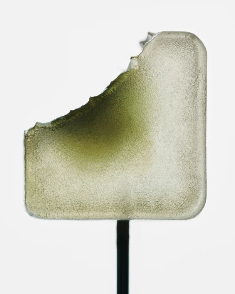 Noon Chill Mushroom Gummy Delights