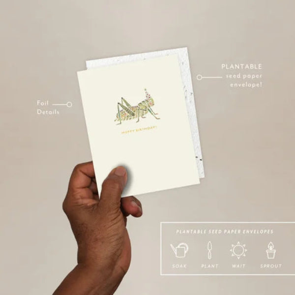 Hoppy Bday - Birthday Card