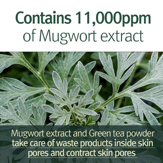 Pyunkang Yul Calming Pore Clear Wash Off Pack Beauty Pyunkang Yul