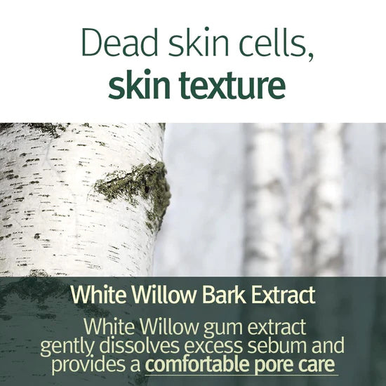 Pyunkang Yul Calming Pore Clear Wash Off Pack Beauty Pyunkang Yul