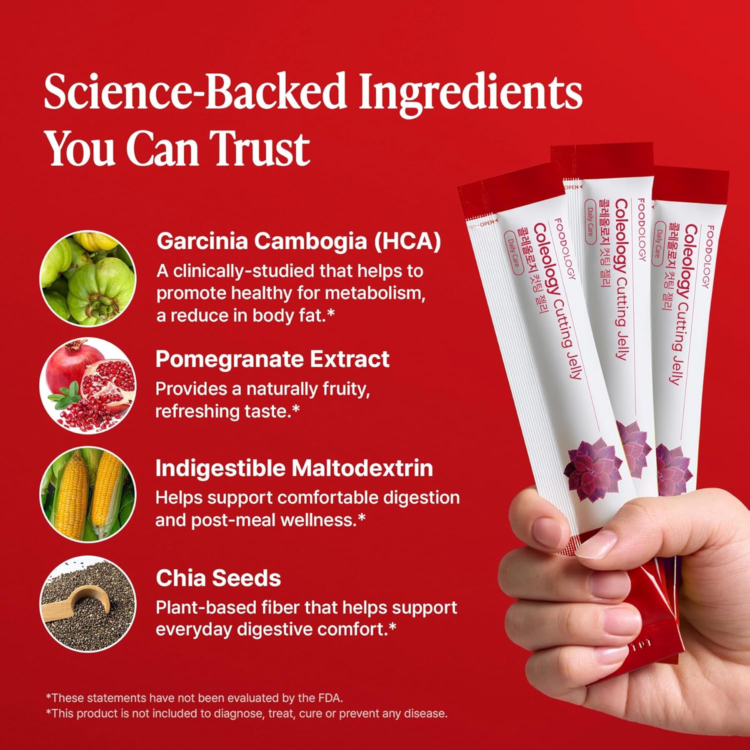 FOODOLOGY Coleology Cutting Jelly